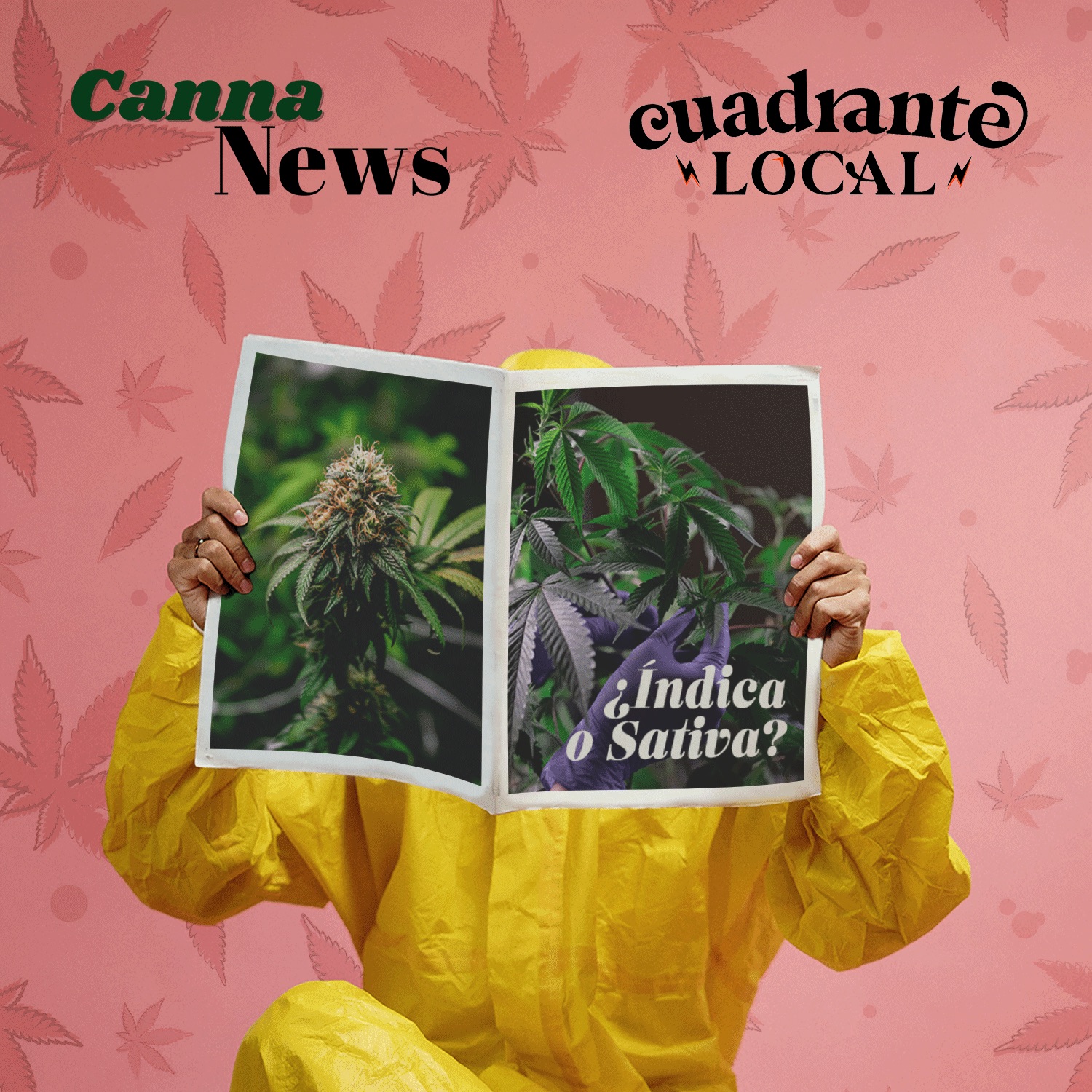 CannaNews – T02E02